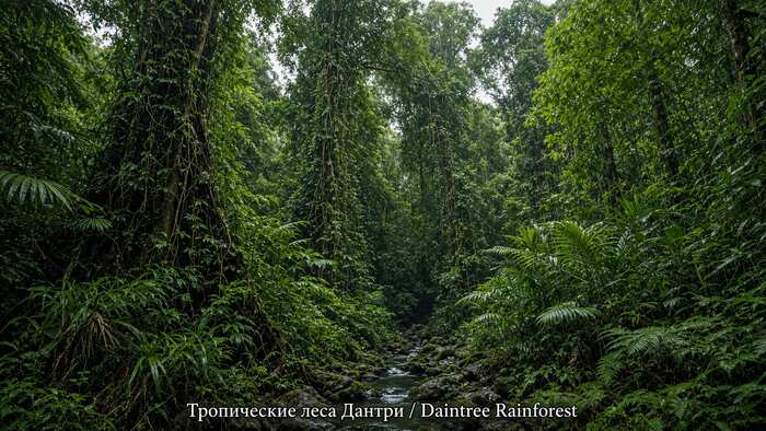 Пейзаж